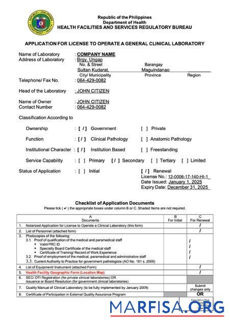 Realistic Philippines application for license to operate Word and PDF template